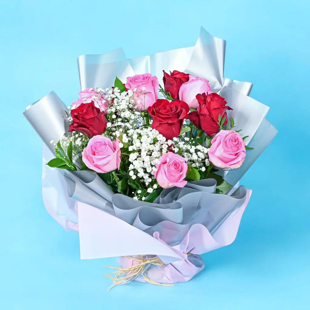 Pink and Red Wrap 0053
